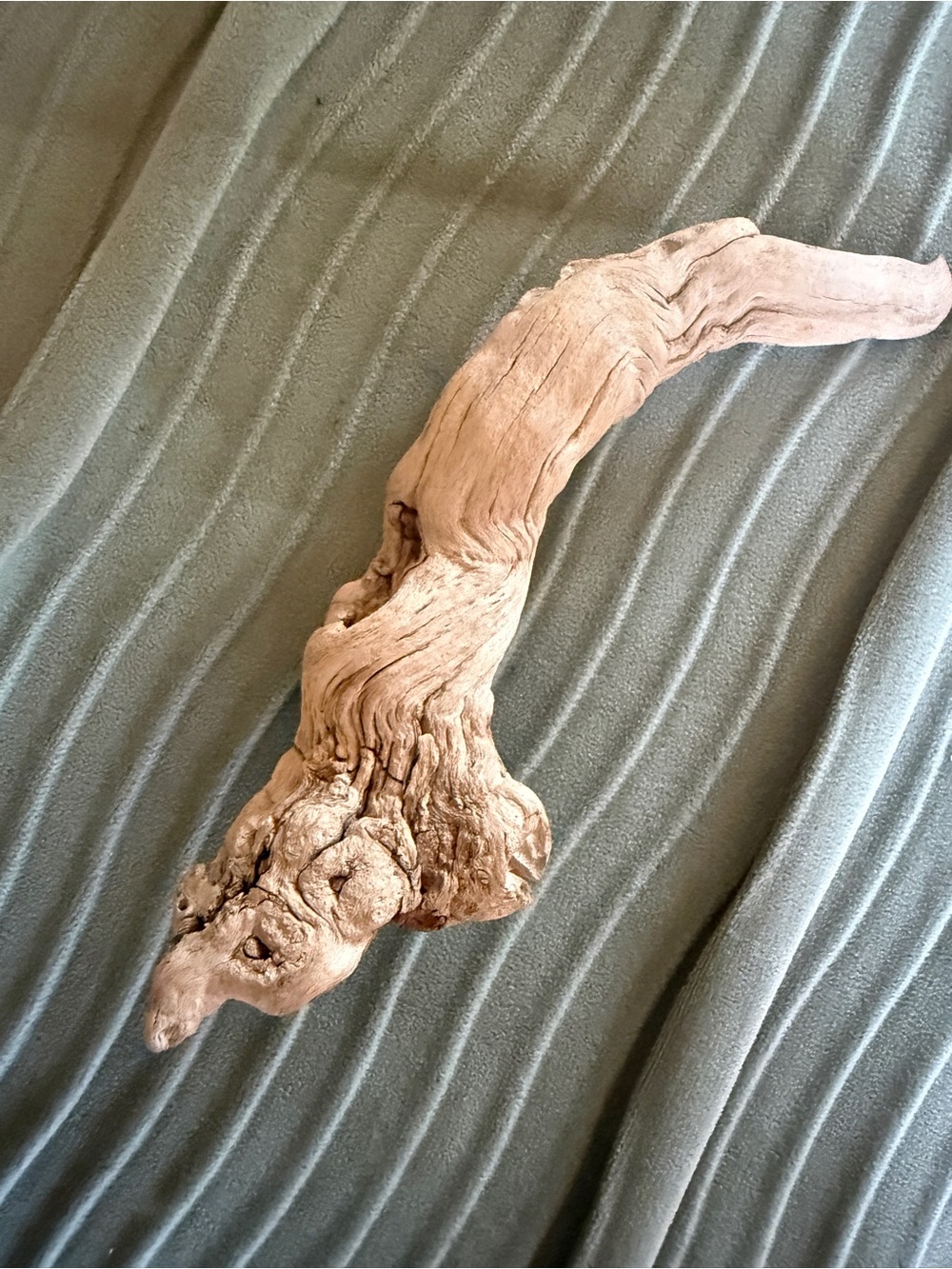 Unique piece of Natural beach Driftwood Decorative Branch - Light Brown decor